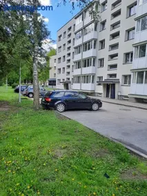 DanGinta - Image 3
