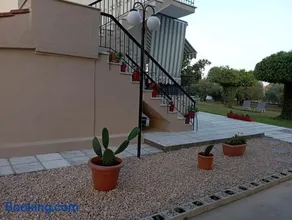 Olive mare Holidays - Image 1