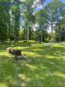Cabane en forêt - Image 2