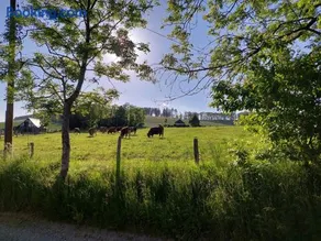 Ferienwohnungen Schneider - Image 4