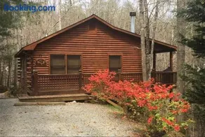 Pet-Friendly Mountain Heaven - Hot Tub and Fire Pit - Image 1
