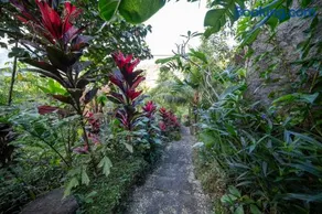 Medukuh Point Hill - Image 2