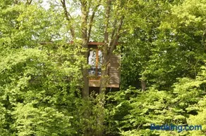 Baumhaus auf dem Kellerberg - Image 3