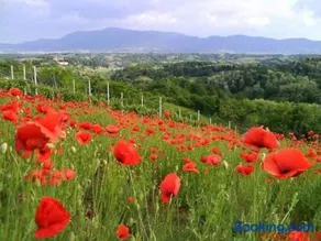 Holiday home Vukovoj - Image 1