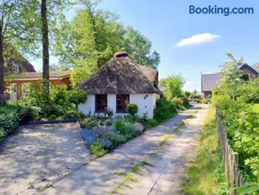 Unser Froschhaus - Image 4