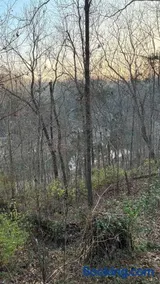 Peaceful Somerset Getaway on Lake Cumberland - Image 3