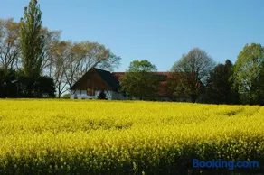 Holsteinhaus-Zirmoisel Ruhe und Natur eigene Sauna - Image 3