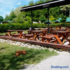 Camp Vrbas - Image 2
