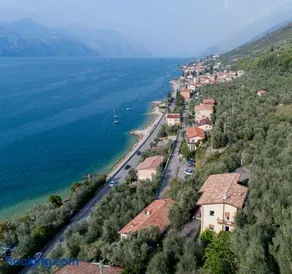 Madonna Dell'Aiuto True View Olivo - Image 1