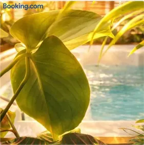 Trinidad Vibes - Suite and Spa - Image 1
