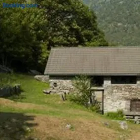 rustico Lele - Image 2