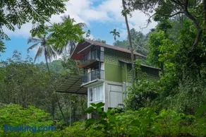 Coffee Mount Homestay Near Paithalmala Kappimala - Image 2