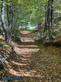 Siedlisko Wyżne - Image 2