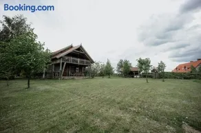 Dom HABASS - Image 4