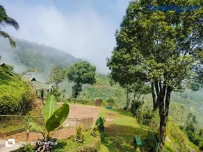 Thangaali - The Homestay - Image 2
