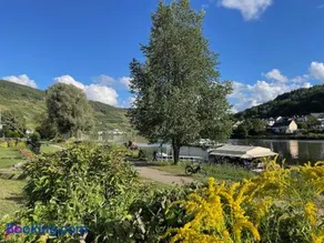 Single-Apartment mit Moselblick - Image 1