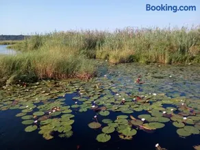 POVI Holiday Home - Image 3