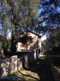 The "M" House - Image 2