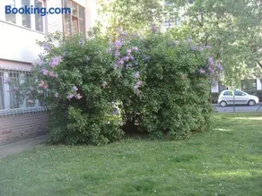 Belvárosi Studio Apartman - Image 2
