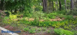 Maison Daubigny - Image 5