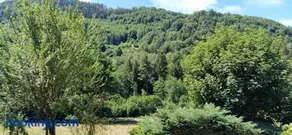 GITE DE CHARME PLEINE NATURE - Image 3