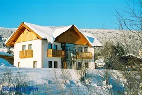 Chalet Das Atrium - Image 1