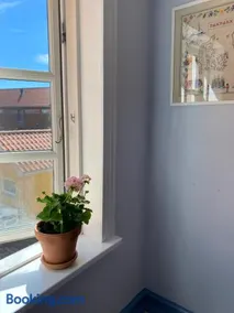 Bo godt hos Hanne i Skagen - Image 4
