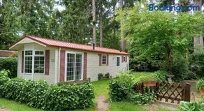Woudthuisje - Image 2