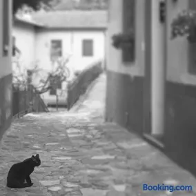 Il Gatto Nero - Image 2
