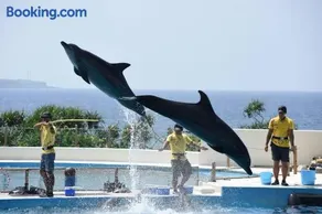 Maravilla - Image 1