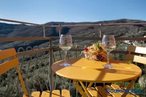 Agriturismo Il nido tra gli ulivi - Image 2
