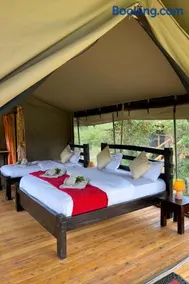 Aruba Mara Camp & Safaris - Image 1