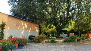 Punta dei Lecci - Image 1