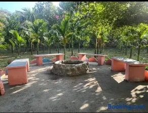 Lilly Areca Farm - Image 1