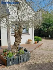 Un ptit coin de paradis chez JF et Daisy à Plouescat - Image 2