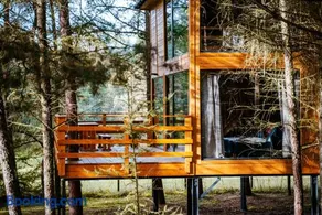 Wood Land Liswarta domki w drzewach - Image 1