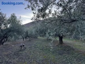 Casa Rural Los Caleros - Image 3