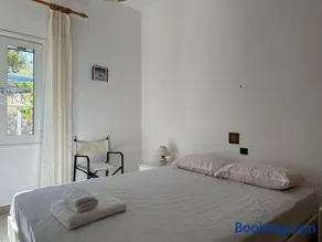 Molly’s Home - Image 4