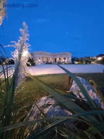 TENUTA DOROLIVO - Image 5