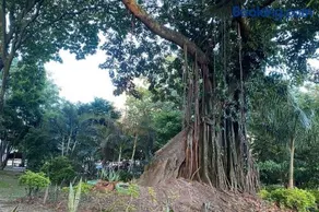 Guayacan Refugio - Image 5