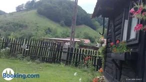 Casa Speranța din Poieni - Image 2