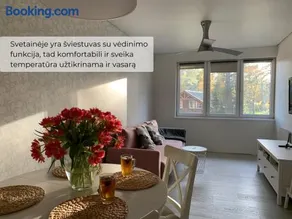 Palūšės Apartment - Image 5