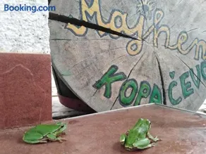 B&B Majhen - Image 3