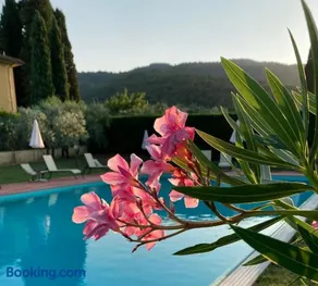 Podere San Giusto - Image 2