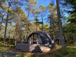 Pokemaja Nõva männimetsas - Image 1