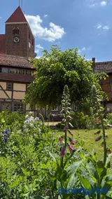 Ferienhaus St. Johannis - Image 4