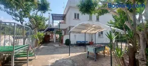 Capo summer - Image 2