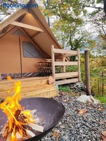 Lieve Agriglamping Experience - Image 1