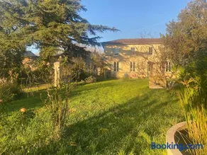 La Belle Verte - Image 4
