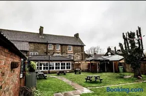 The Fox and Maple - Image 4